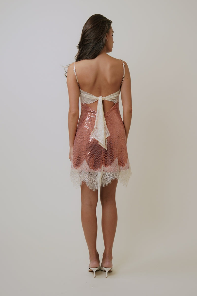 Rose Glimmer Mini Dress